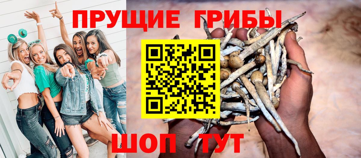 Галлюциногенные грибы Magic Shrooms  Галлюциногенные грибы мухоморы  Зерноград  Вход с VPN 