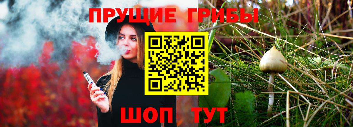 Галлюциногенные грибы Cubensis Зерноград